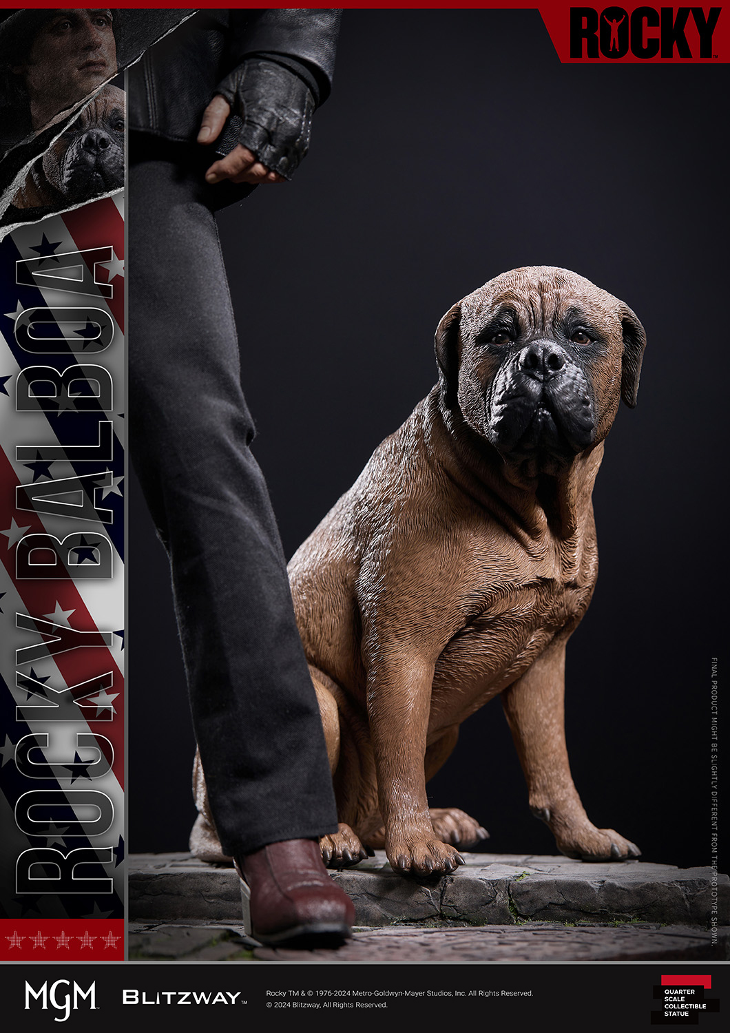 240408_Rocky1_Image_27