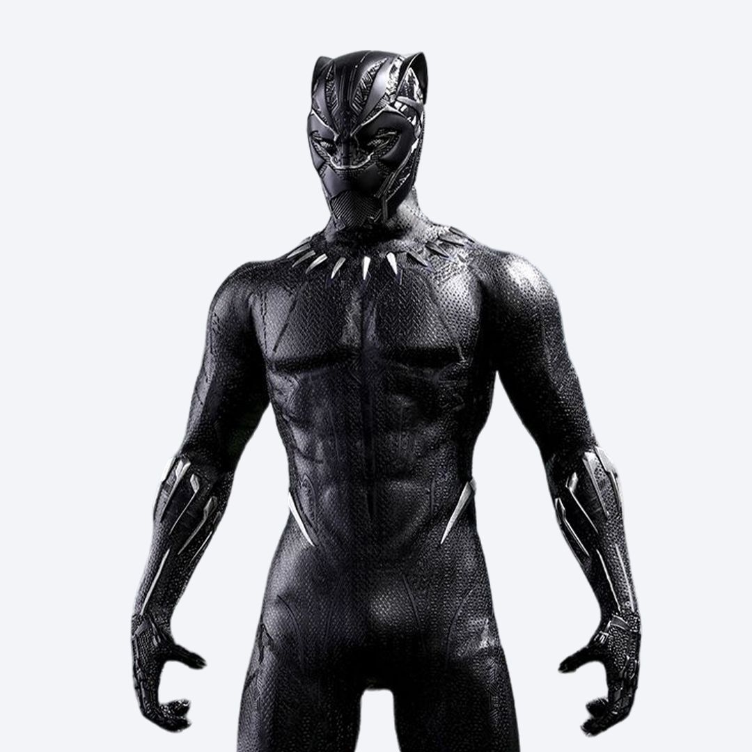 블랙팬서 1/6스케일 MMS470 핫토이 Hottoys