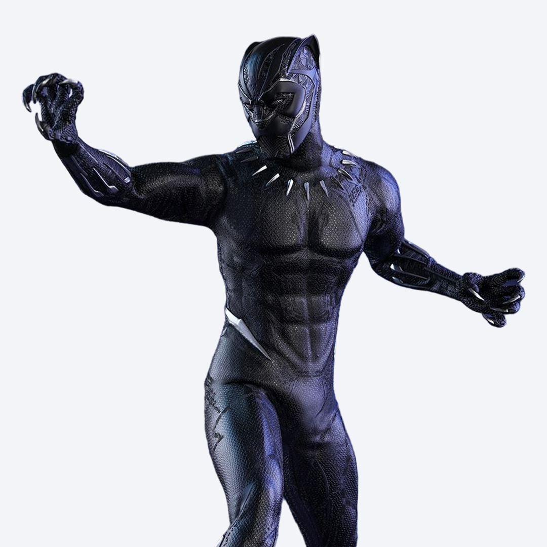 블랙팬서 1/6스케일 MMS470 핫토이 Hottoys
