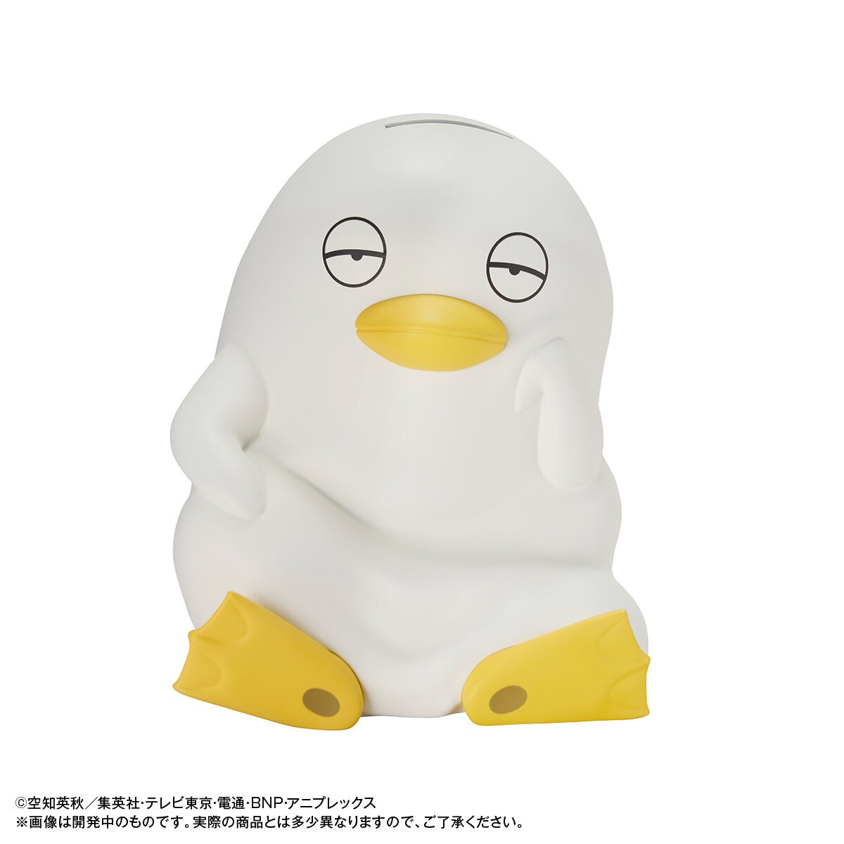 imgi_110_1000237260_10.jpeg