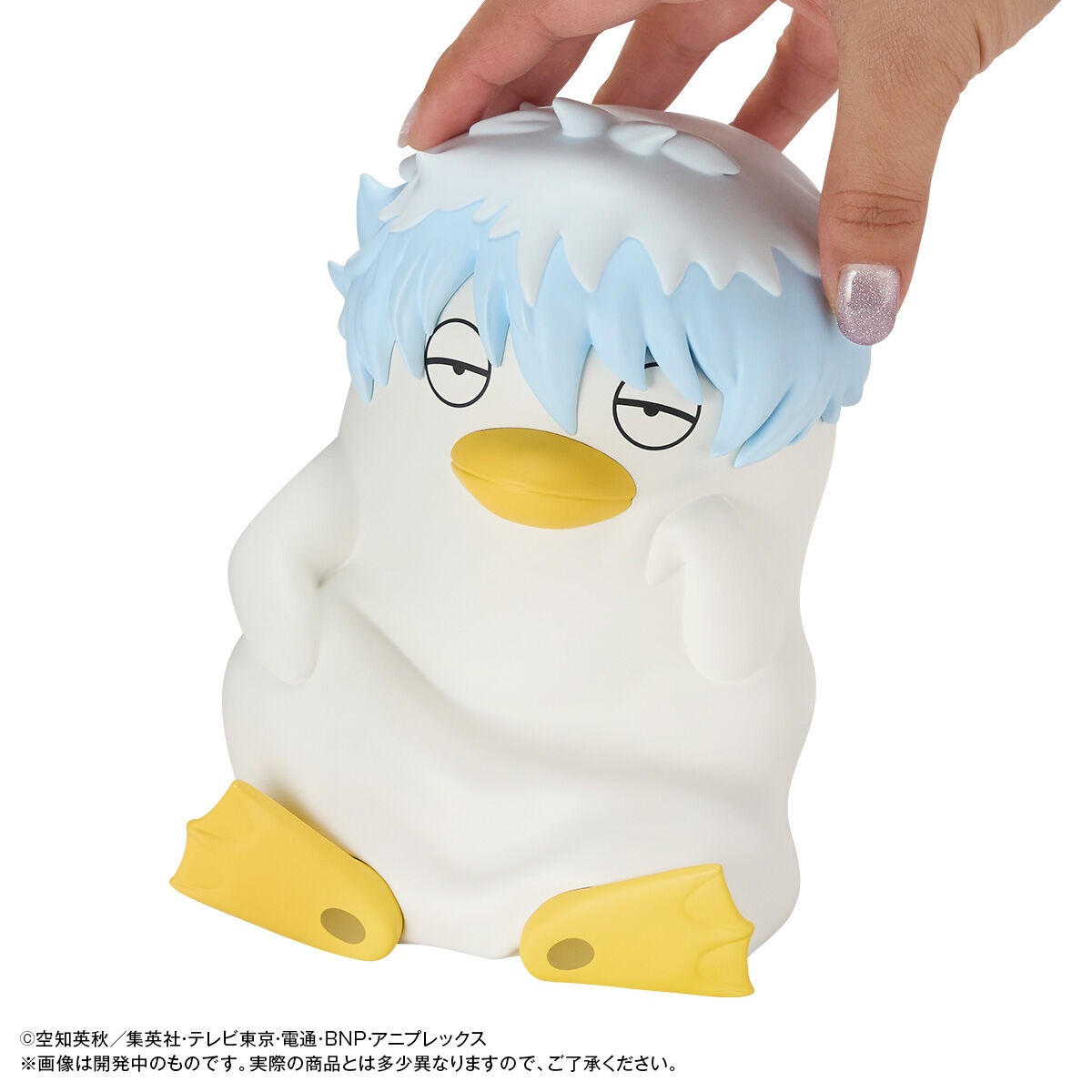 imgi_108_1000237260_8.jpeg