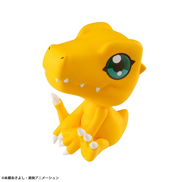imgi_33_item_0000004309_0X6Tj4u92Yp6_03.jpeg
