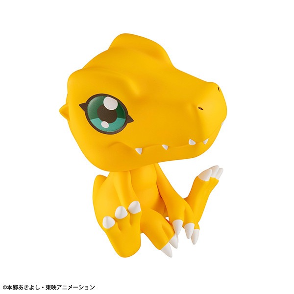 imgi_35_item_0000004309_0X6Tj4u92Yp6_05.jpeg