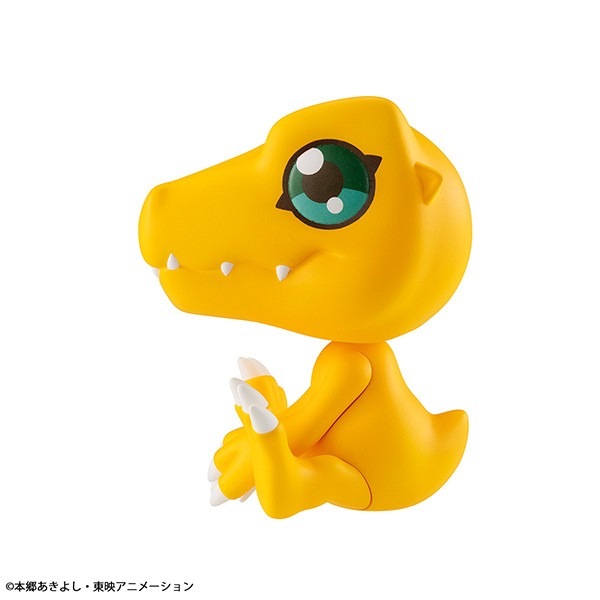 imgi_38_item_0000004309_0X6Tj4u92Yp6_08.jpeg