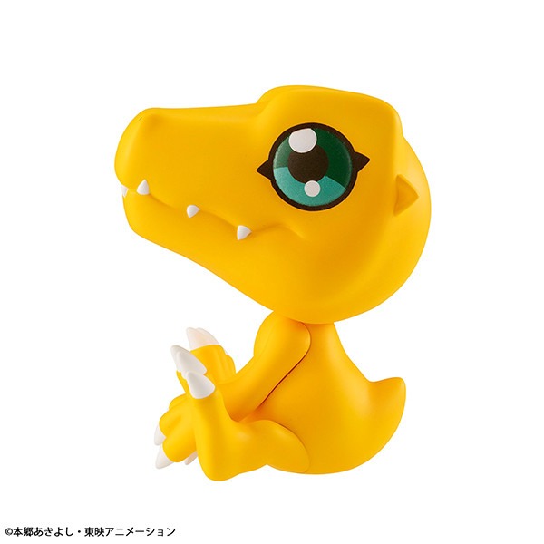 imgi_37_item_0000004309_0X6Tj4u92Yp6_07.jpeg