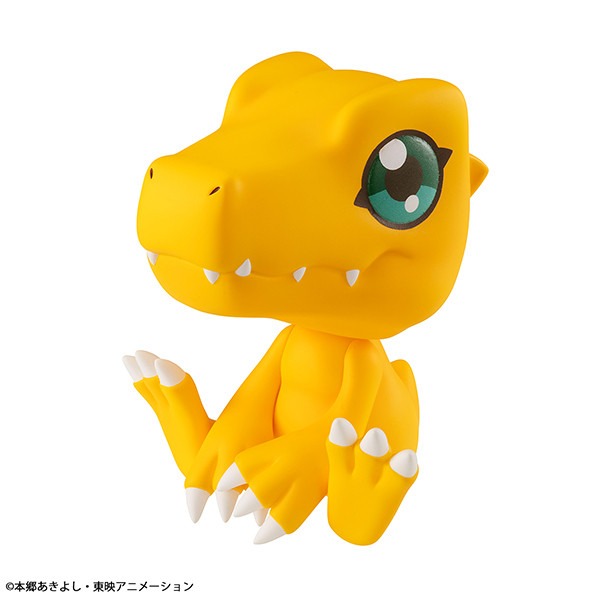 imgi_32_item_0000004309_0X6Tj4u92Yp6_01.jpeg