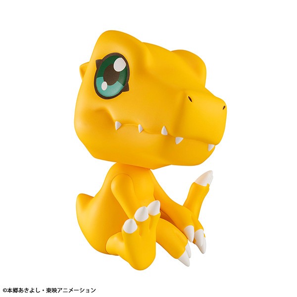 imgi_34_item_0000004309_0X6Tj4u92Yp6_04.jpeg