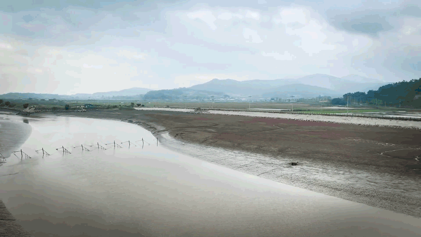 8.gif