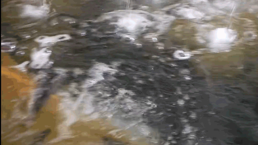 16.gif