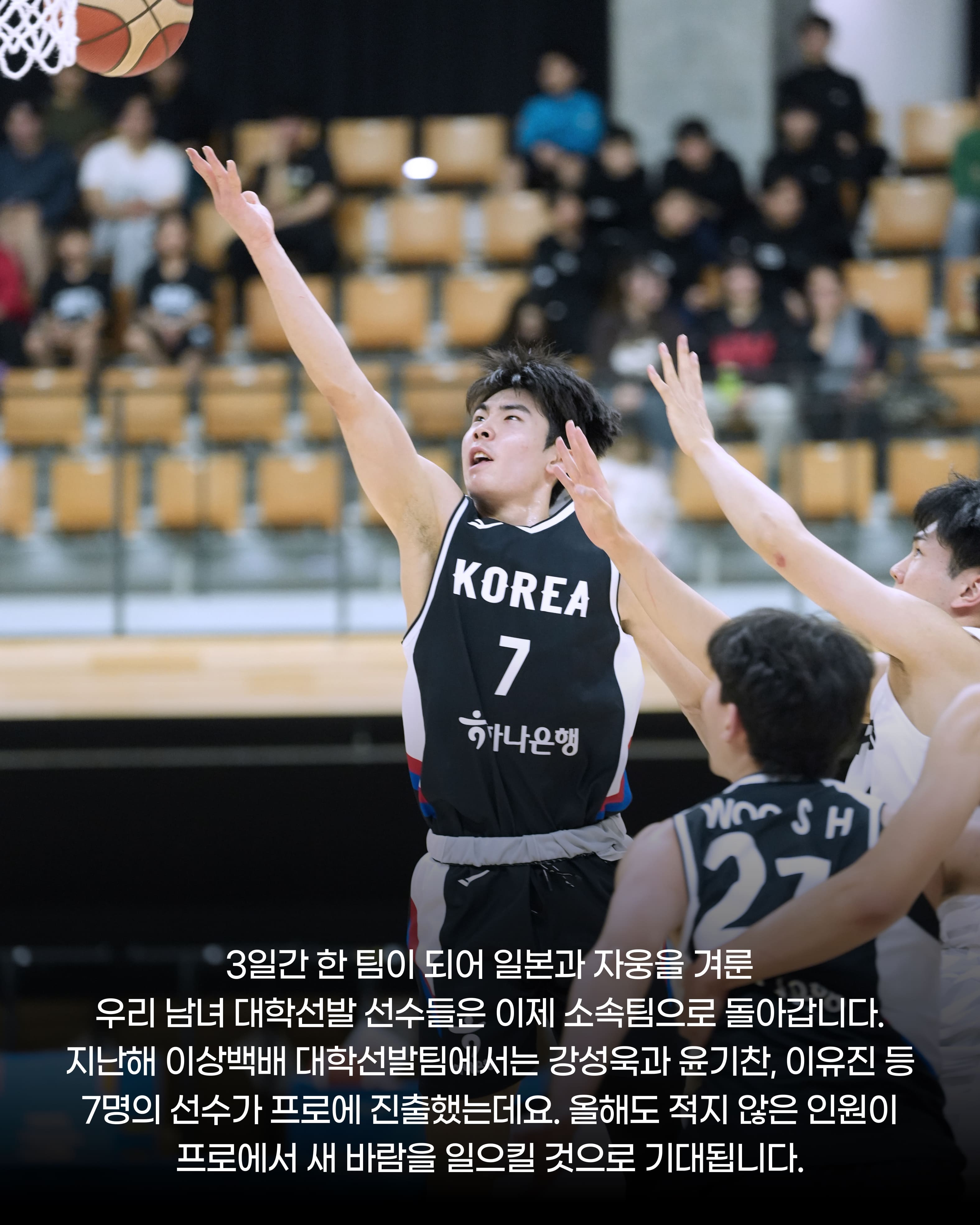 이상백배11.jpg