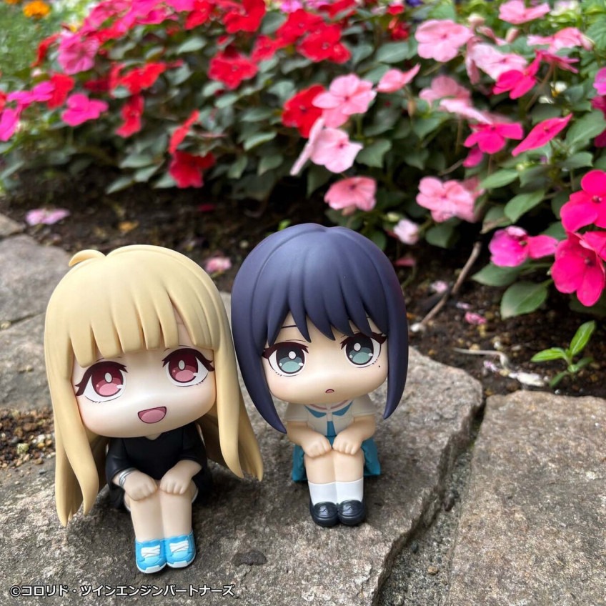 imgi_46_imgi_118_1000255121_29.jpeg
