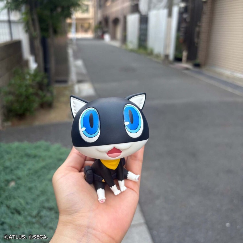 imgi_39_imgi_116_1000255178_23.jpeg