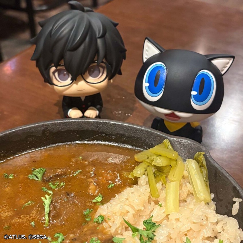 imgi_40_imgi_117_1000255178_24.jpeg