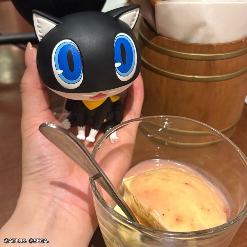 imgi_44_imgi_121_1000255178_28.jpeg