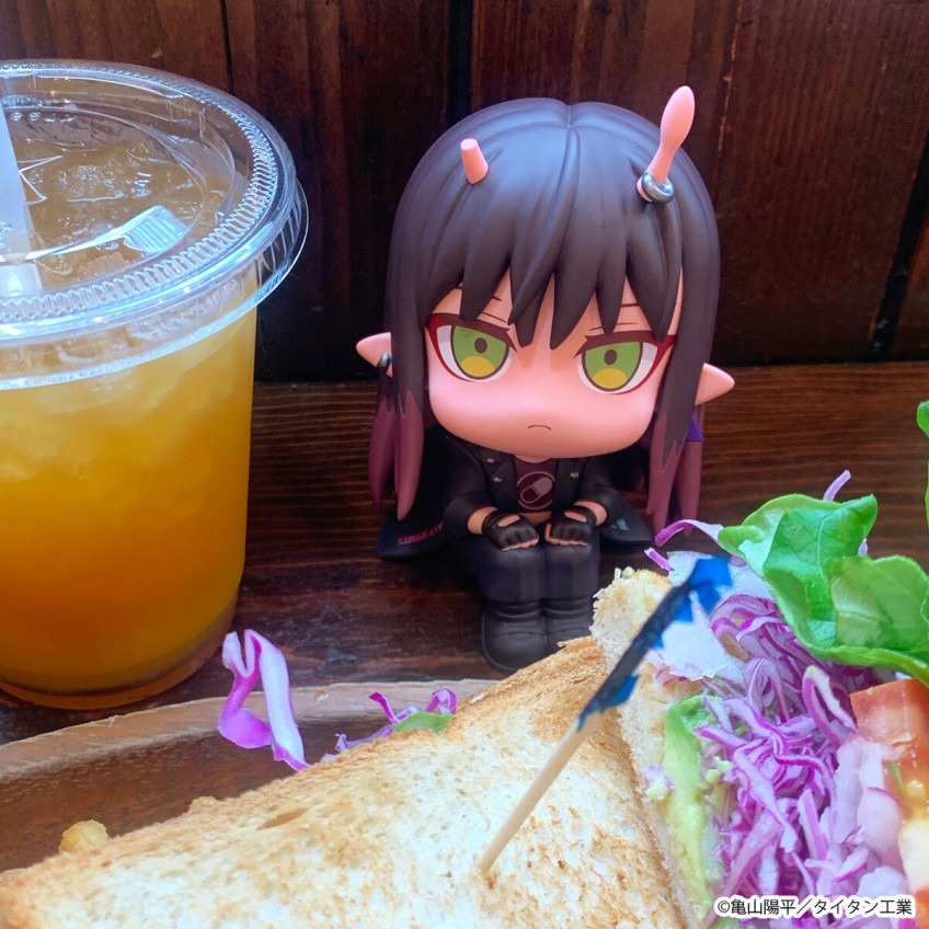 imgi_34_imgi_106_1000255119_21.jpeg