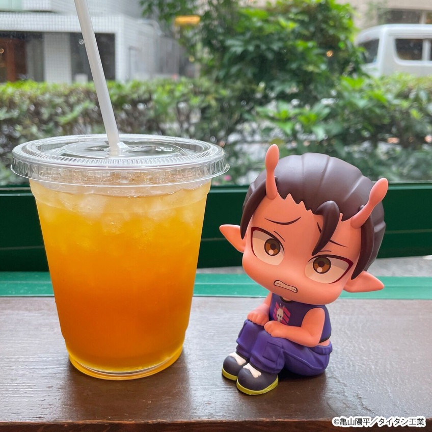 imgi_37_imgi_109_1000255119_24.jpeg