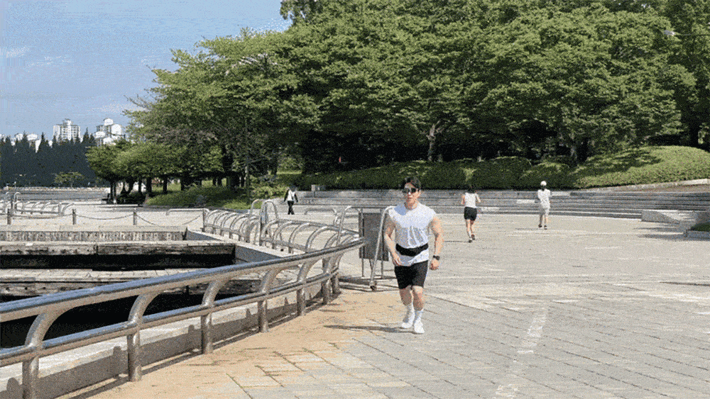 15_2mb.gif
