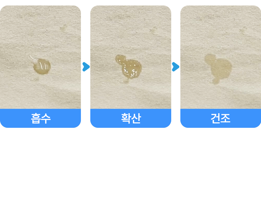 쏘쿨토시_19.png