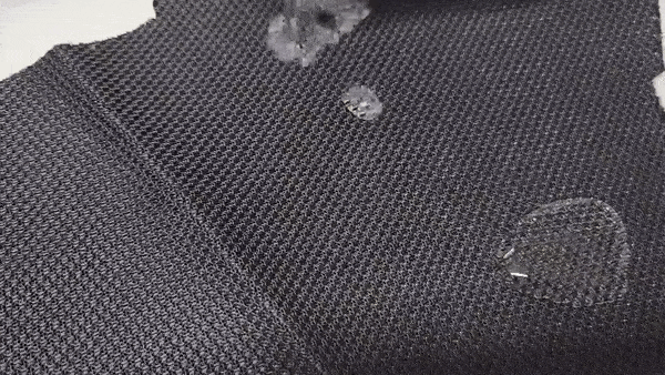 24.gif