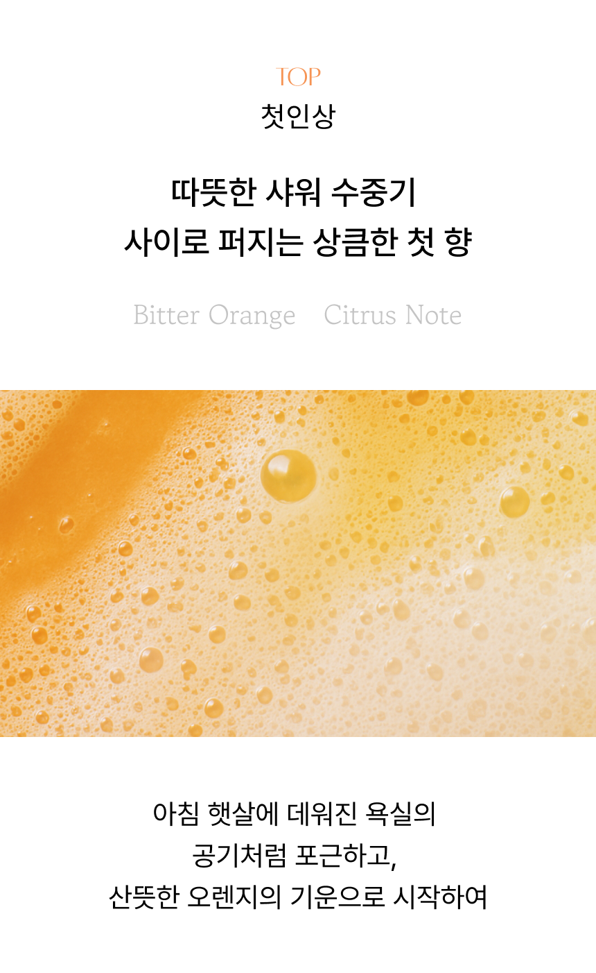 13.png