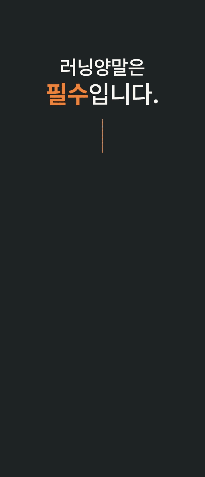 Reflect_socks_01.gif