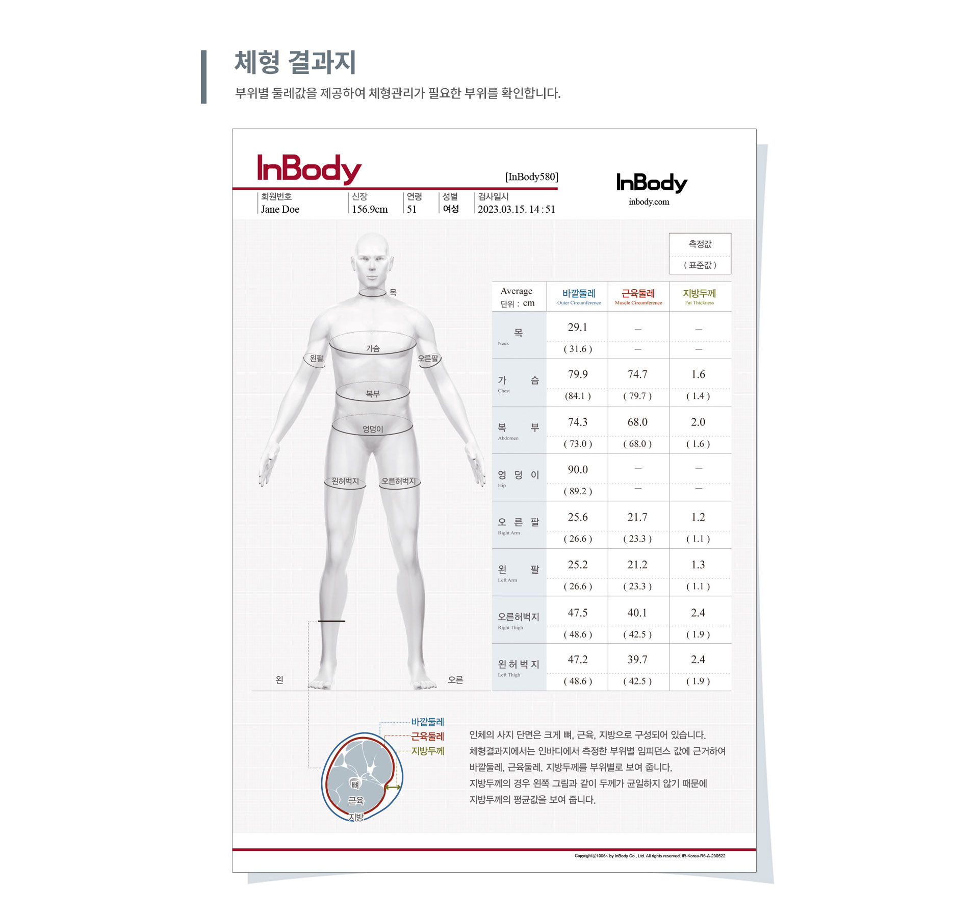 //shopby-images.cdn-nhncommerce.com/Mall-No-G3WM/20250103/175523.69281000/03_580_체형-결과지.jpg