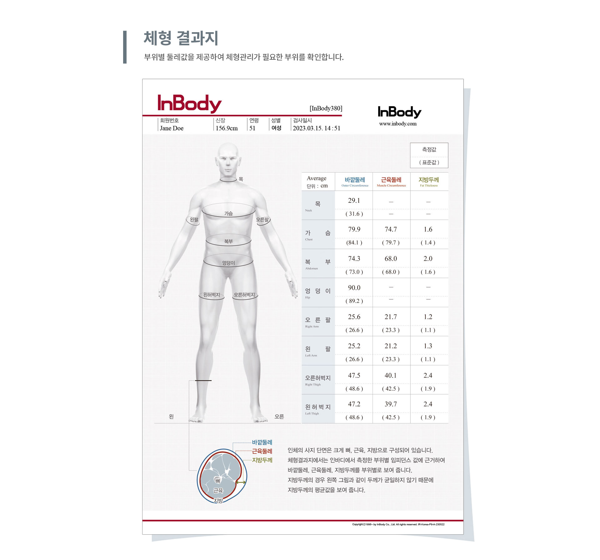 //shopby-images.cdn-nhncommerce.com/Mall-No-G3WM/20250103/175704.933662000/03_380_체형-결과지.jpg