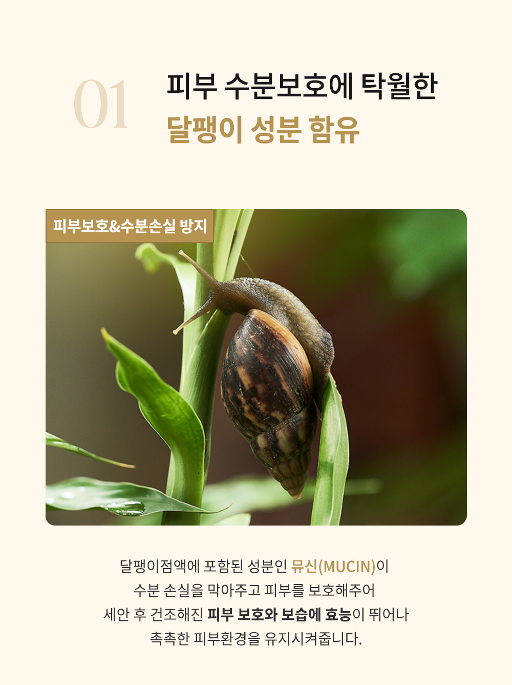 nsuus_snail_toner_01_03.jpg