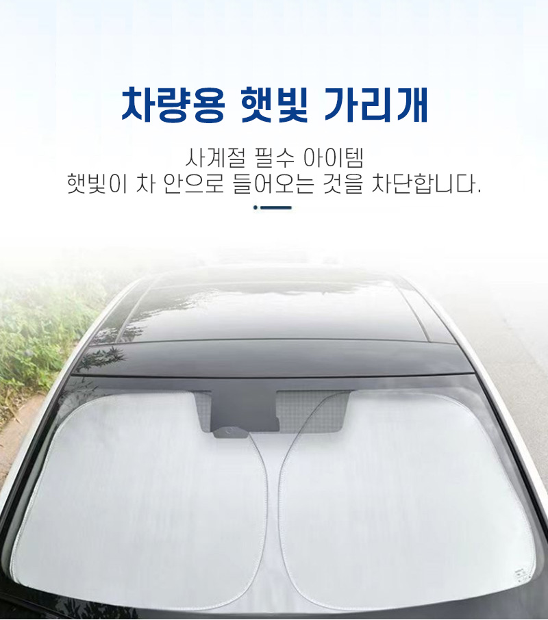 car_07.jpg