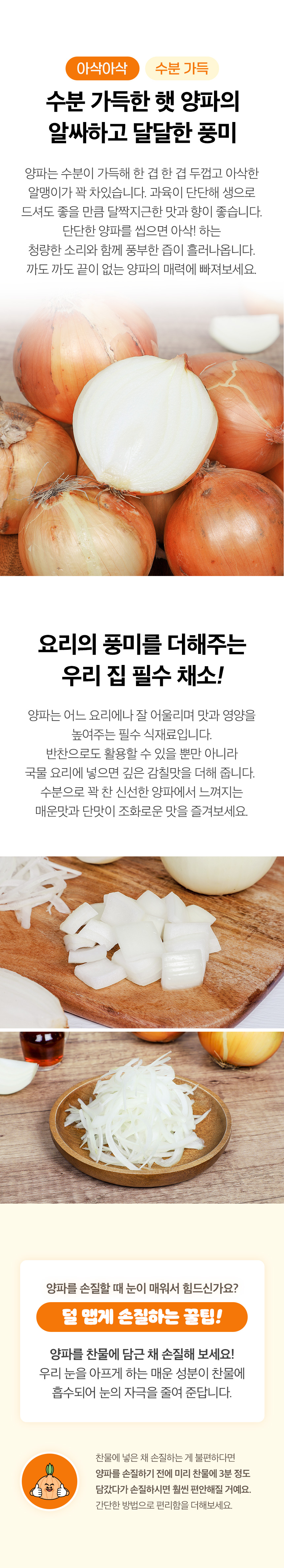 new_onion_02.jpg