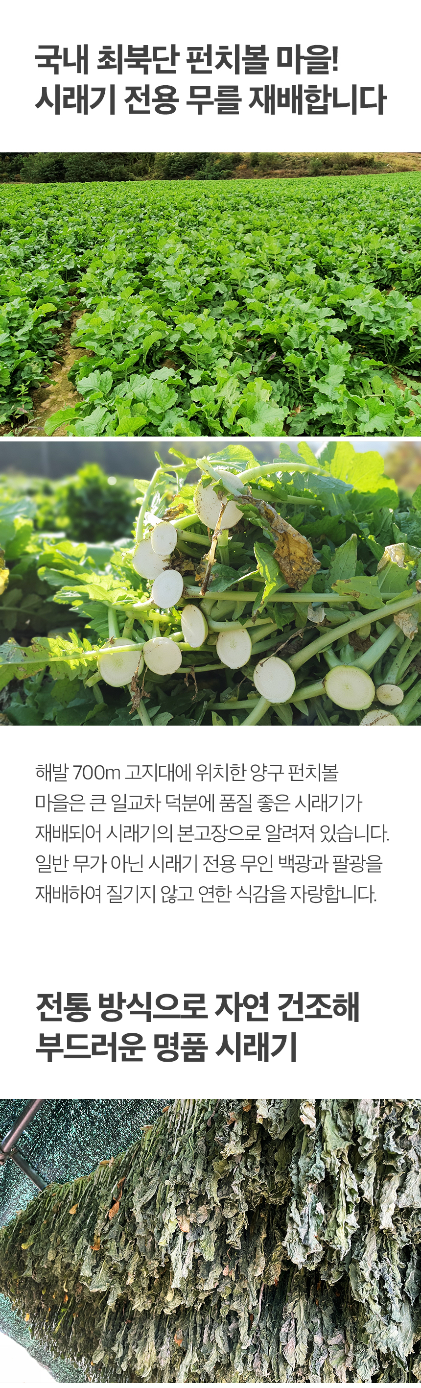 siraegi_06.jpg