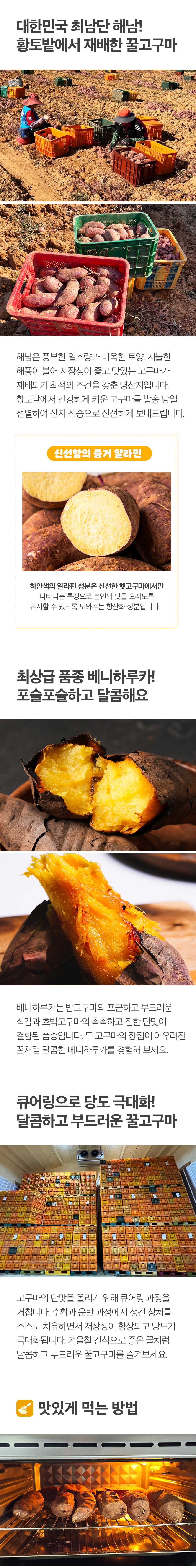 honeysweetpotato_08.jpg