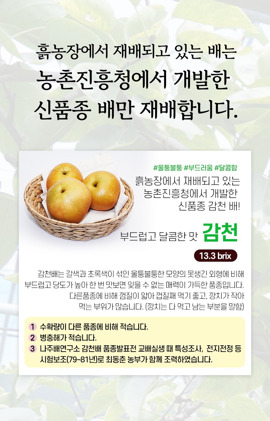 4.감천.jpg