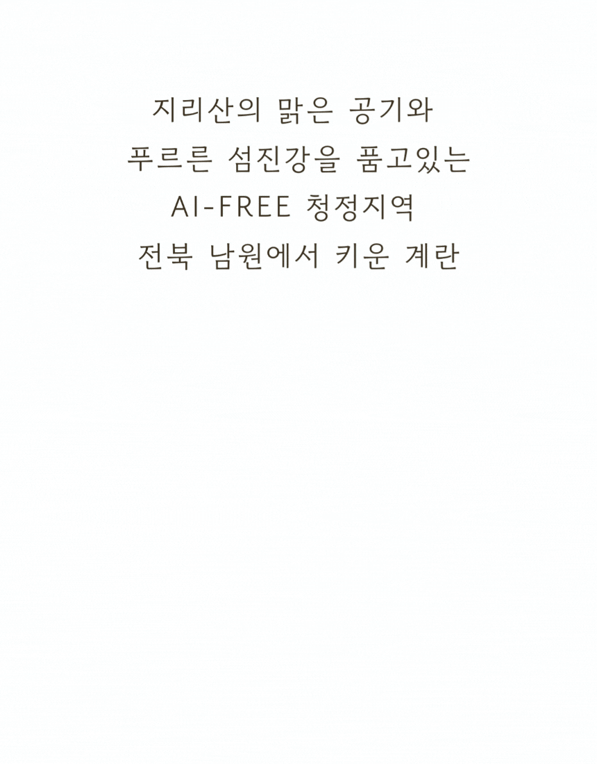 5.gif