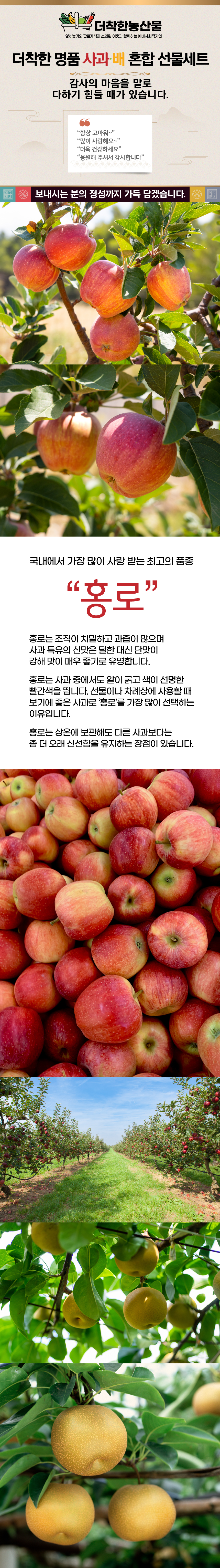 홍로.jpg