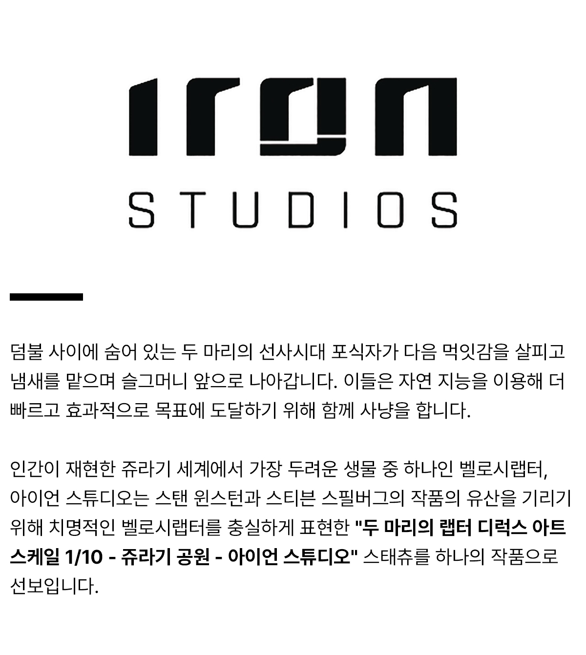 ironstudios_productdetail.jpg