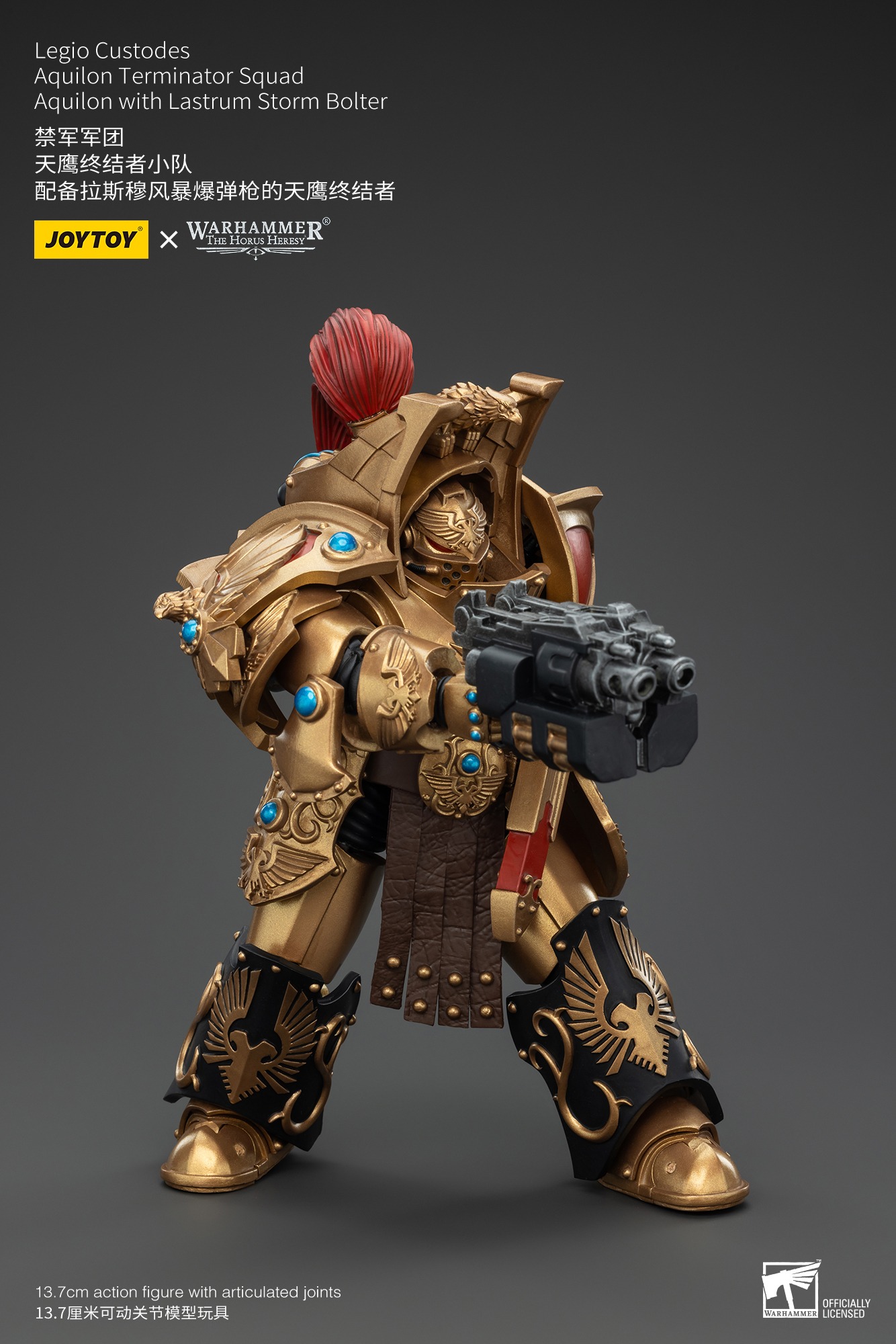 imgi_27_A2028529.jpg