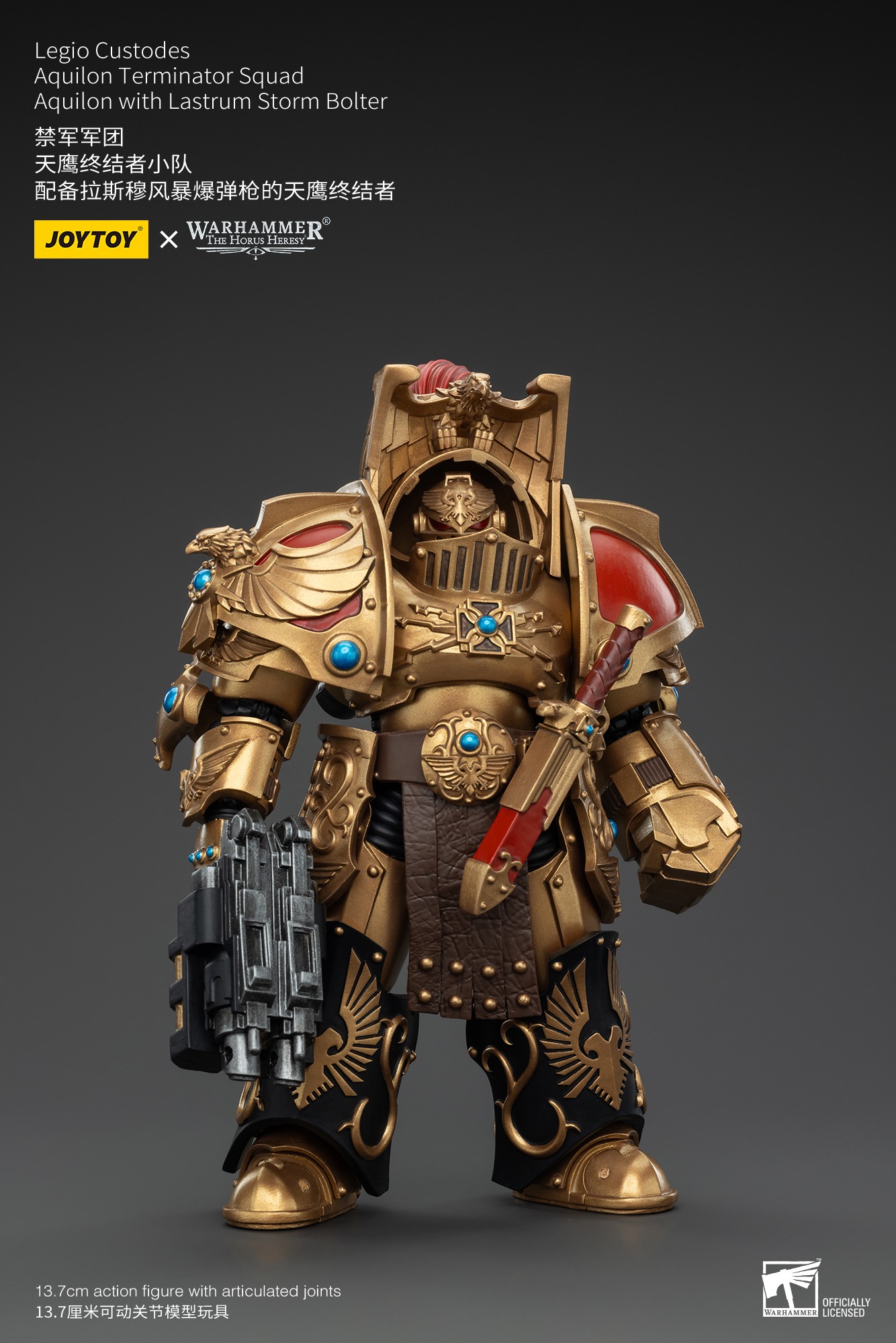 imgi_24_A2028229.jpg