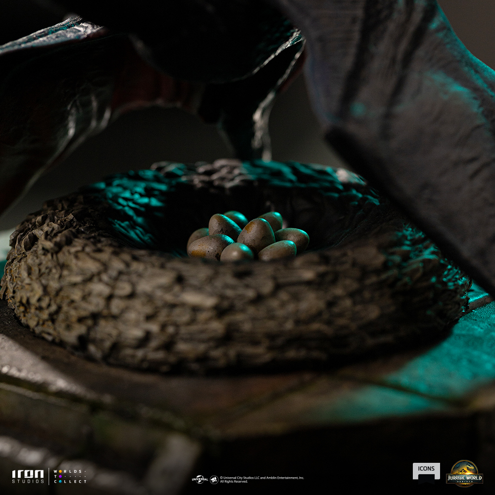 05-Details_Color.jpg