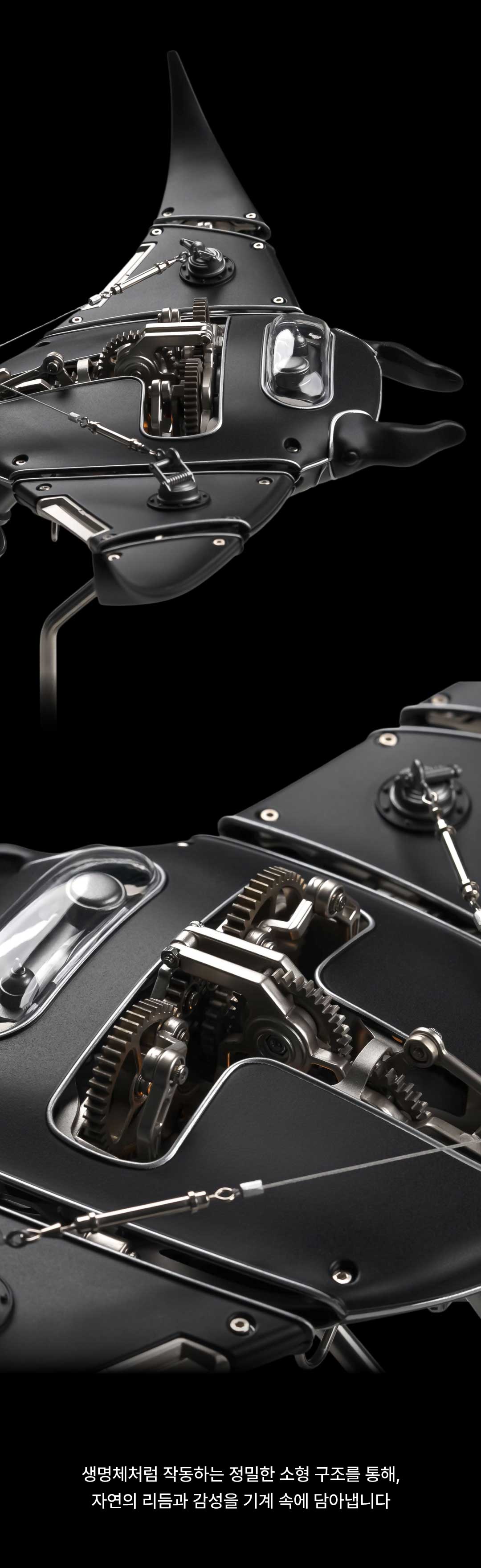 jx_detail_05.jpg