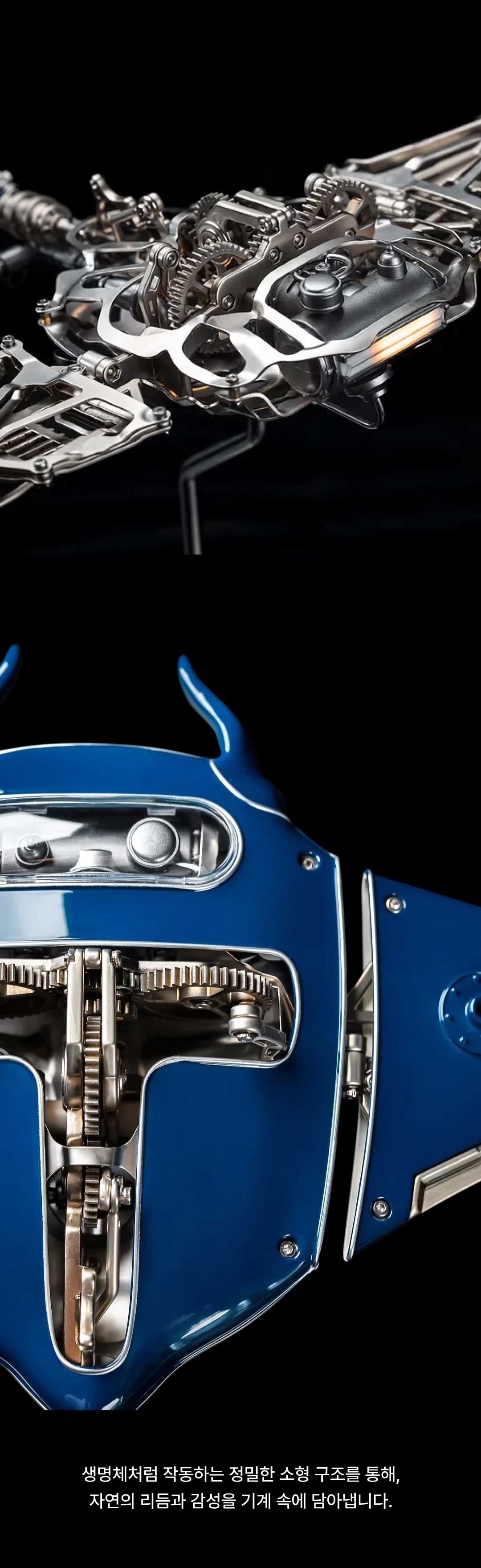 jx_detail_color_05.jpg