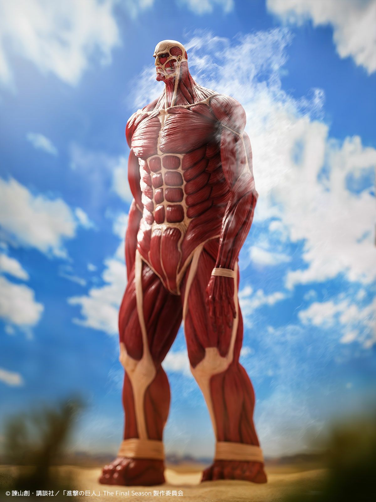 000000001349-19-xl.jpg