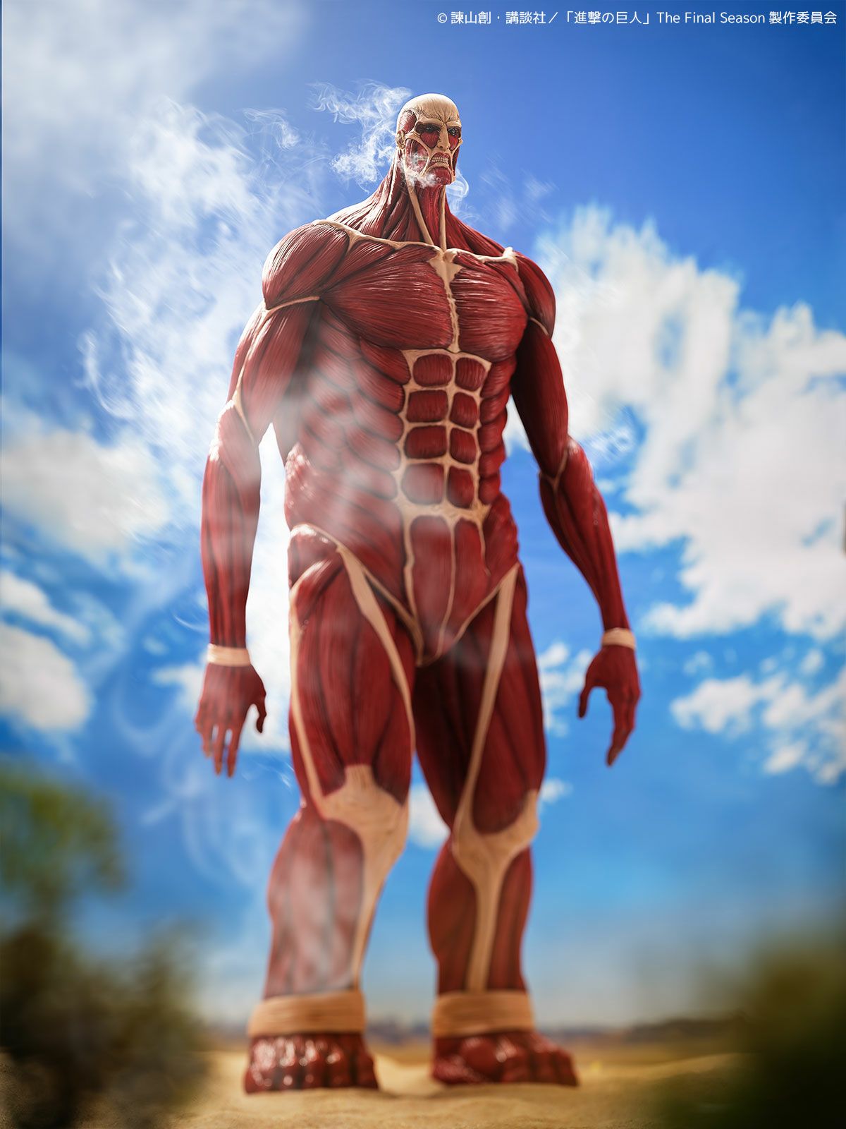 000000001349-20-xl.jpg