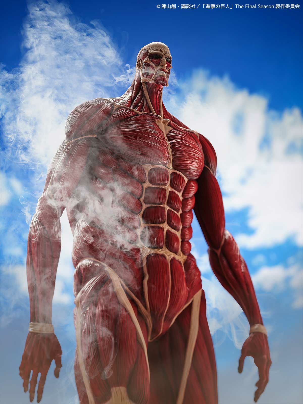 000000001349-11-xl.jpg