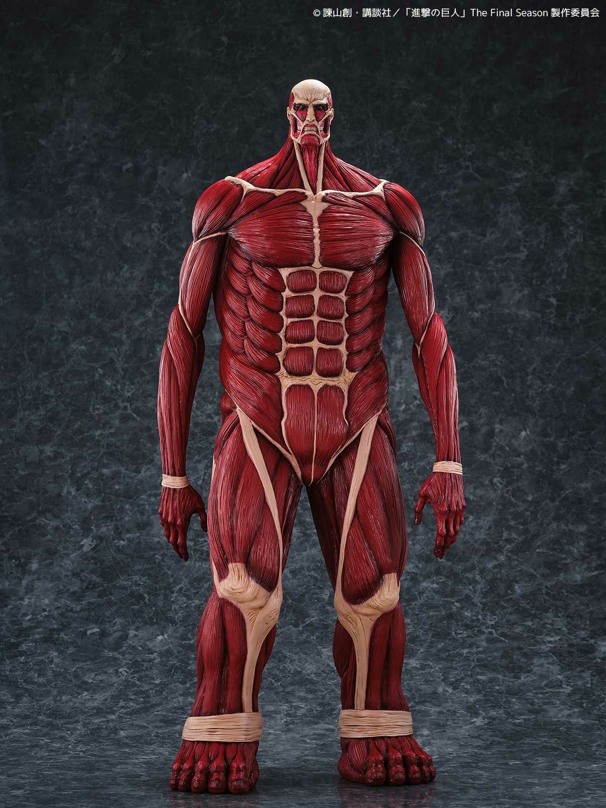 000000001349-01-xl.jpg