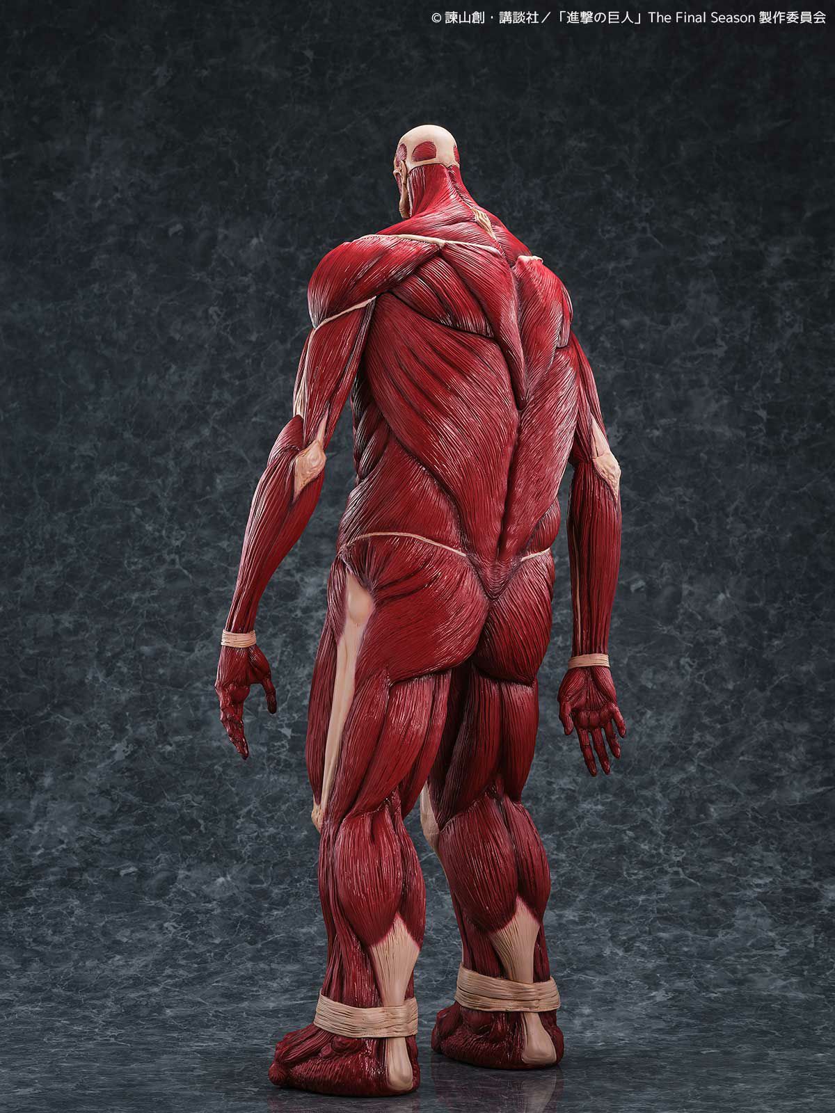 000000001349-04-xl.jpg