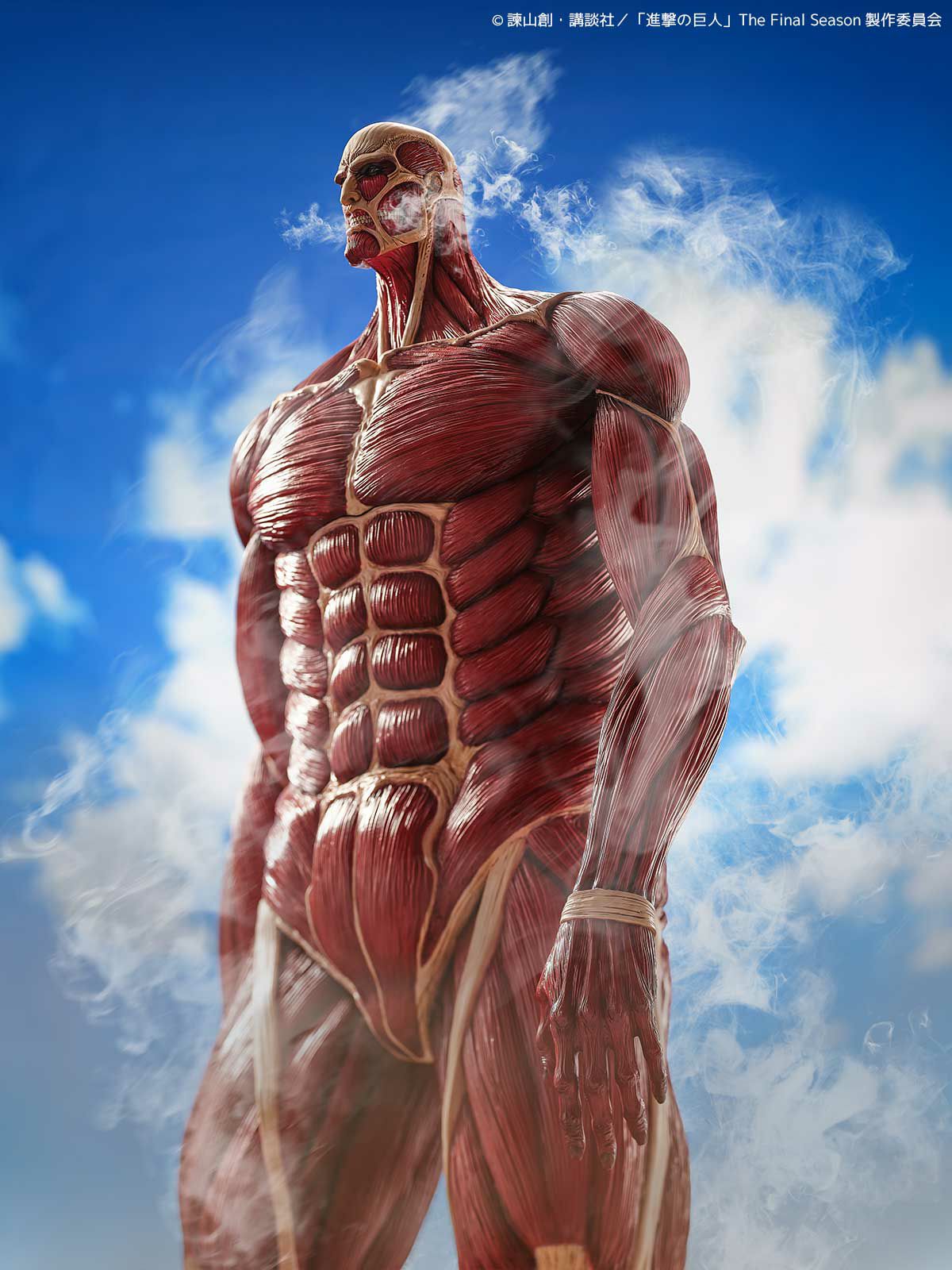 000000001349-13-xl.jpg