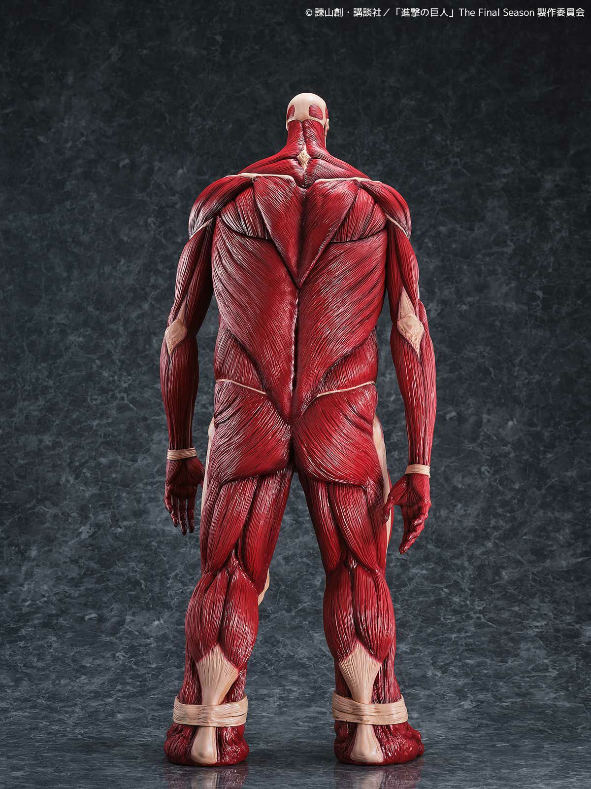 000000001349-05-xl.jpg