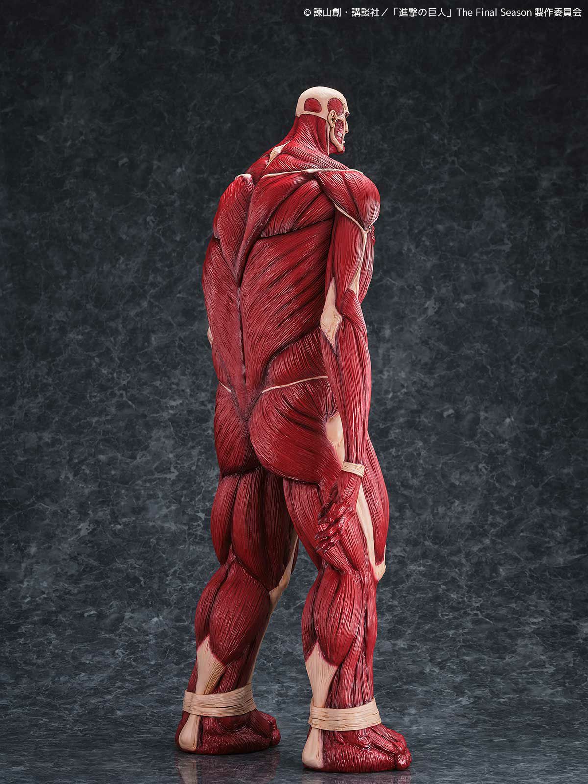 000000001349-06-xl.jpg