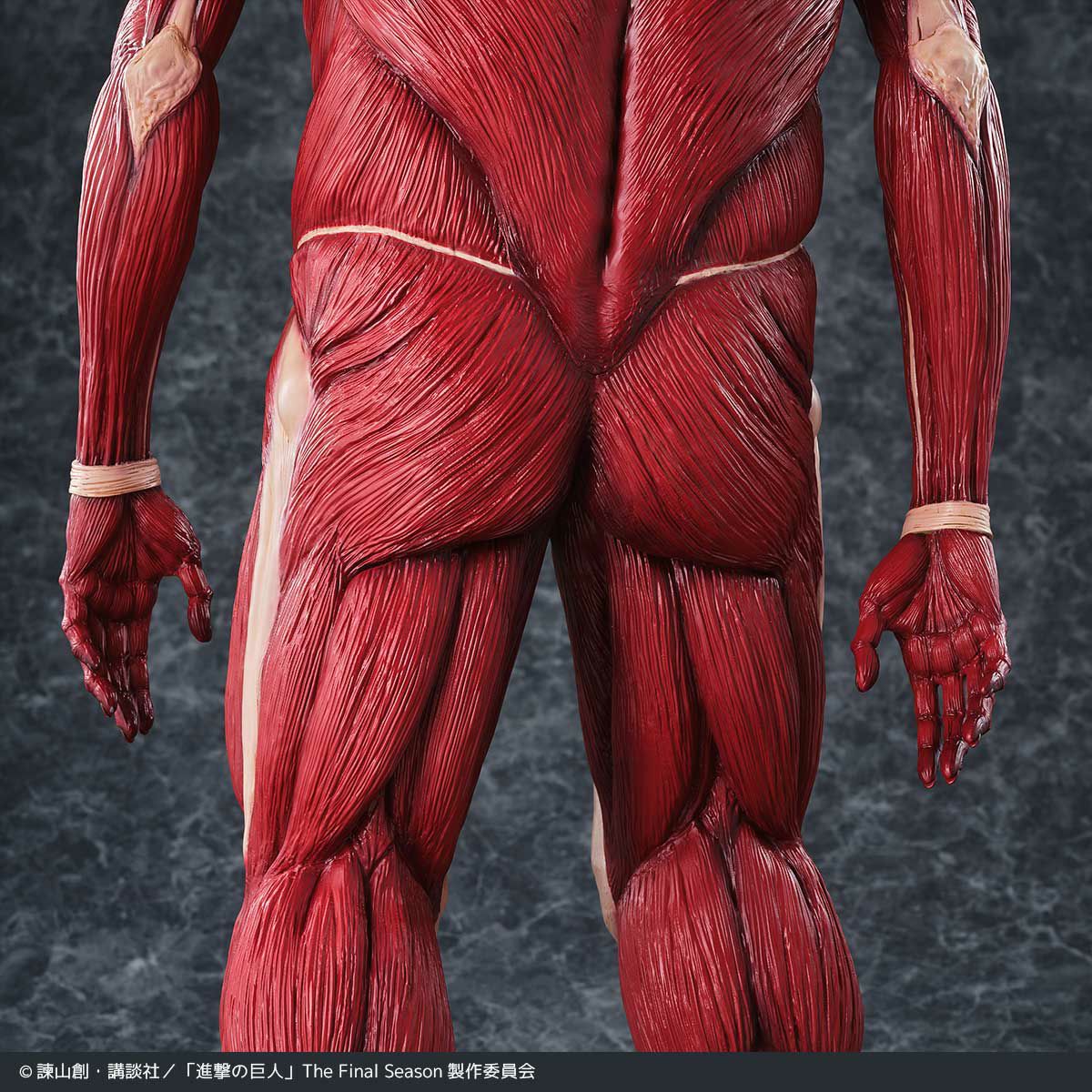 000000001349-23-xl.jpg